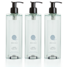 Laden Sie das Bild in den Galerie-Viewer, Geneva Guild Flüssigseife / Liquid Hand Soap mit Aloe Vera 3x380ml
